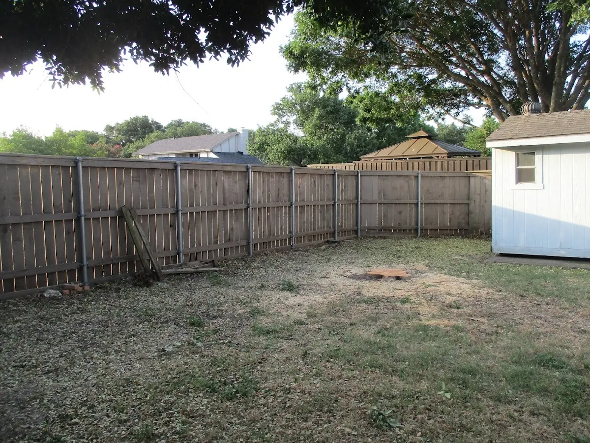 Cleared yard after professional tree removal in Cayuga